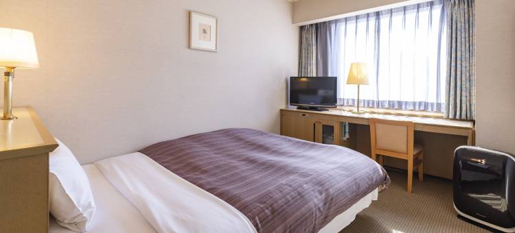 ARK皇家酒店福冈天神店(Ark Hotel Royal Fukuoka Tenjin -Route Inn Hotels-)图片