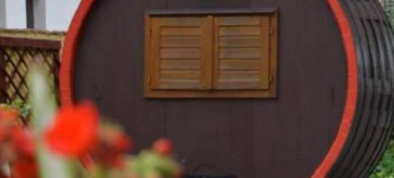 克朗酒店(Hotel Koruna)图片