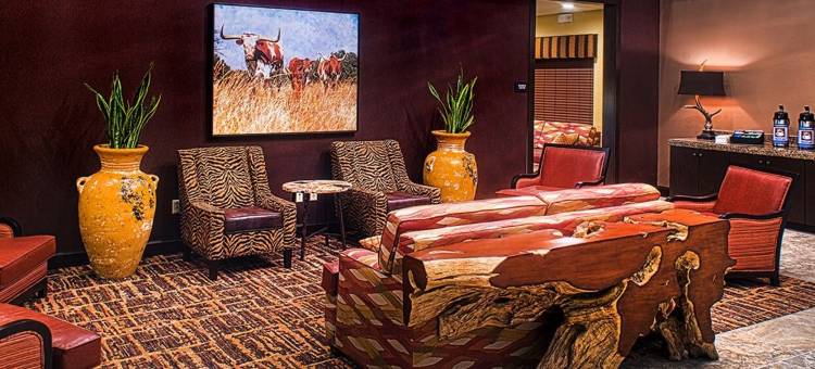 舒适套房酒店(Comfort Inn & Suites)图片