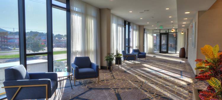 鸽子谷会议中心假日酒店及套房(Holiday Inn & Suites Pigeon Forge Convention Center)图片