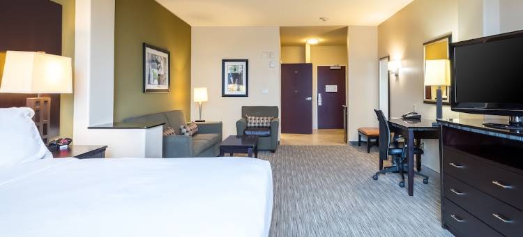 智选假日套房酒店达拉斯西(Holiday Inn Express & Suites Dallas W - I-30 Cockrell Hill)图片