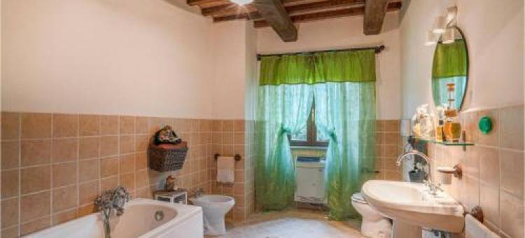 Soc,Agr,il Verde S,,s图片