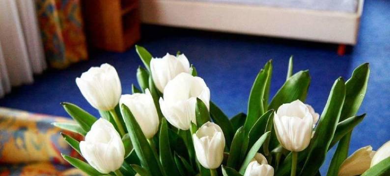 兰托斯咖啡厅酒店(Hotel-Cafe Rathaus)图片