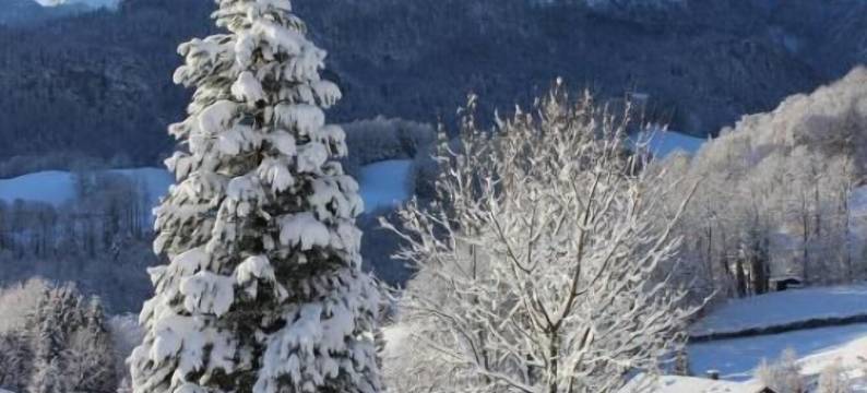 莱特纳霍夫旅馆(Leitnerhof)图片