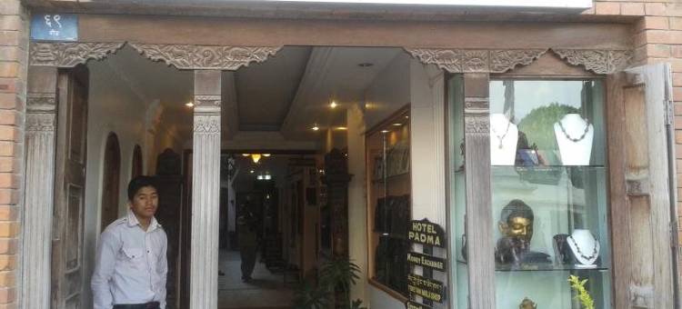 帕德马酒店(Hotel Padma)图片