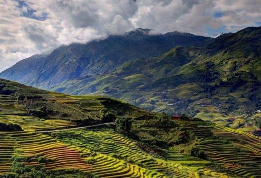 Eco Palms House - Sapa Retreat Hotel Overview