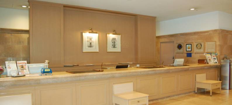 神户西神东方饭店(Kobe Seishin Oriental Hotel)图片