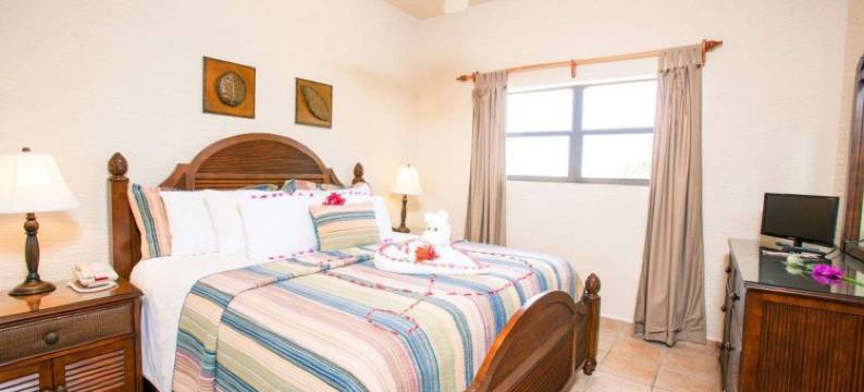 凯隆套房酒店-菠萝别墅罗阿坦(Clarion Suites Roatan at Pineapple Villas)图片