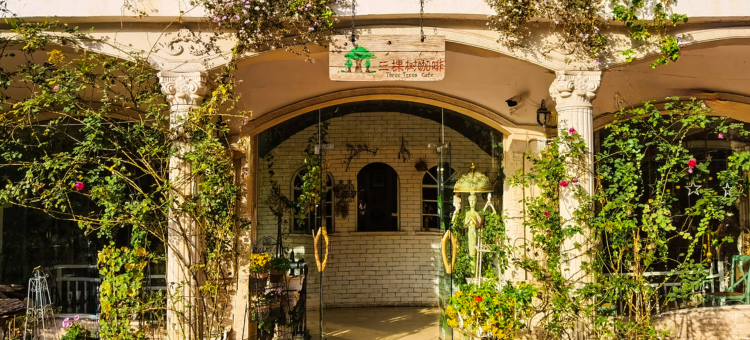 三棵树庄园图片