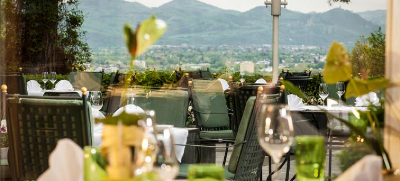 波恩维纳斯堡多林特酒店(Dorint Venusberg Bonn)图片