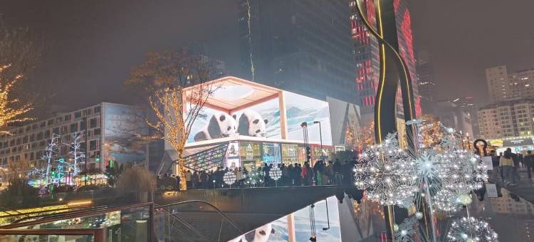 流星花园管家民宿(天仙桥北路分店)图片