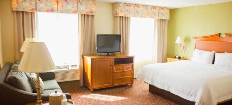 克利奇站-美国东6公路欢朋套房酒店(Hampton Inn & Suites College Station/US 6-East Bypass)图片