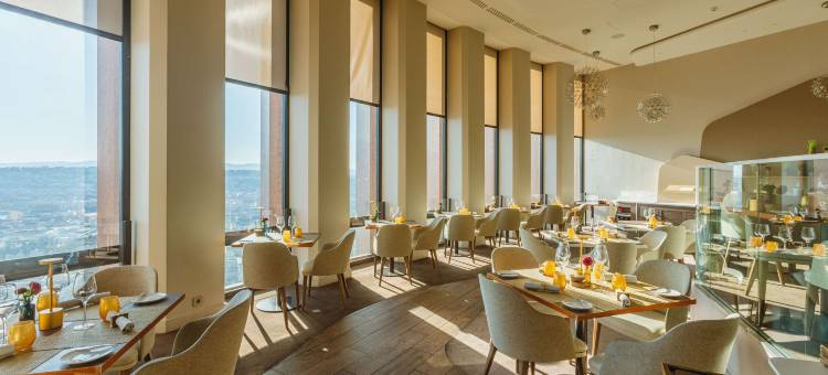 里昂丽笙蓝标酒店(Radisson Blu Hotel, Lyon)图片