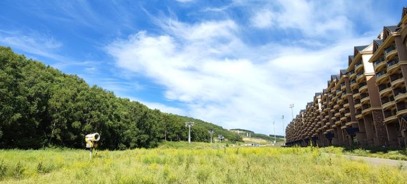 依然公寓(梧桐大道1号分店)图片