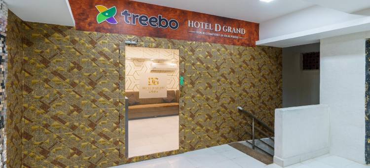 Treebo D Grand图片