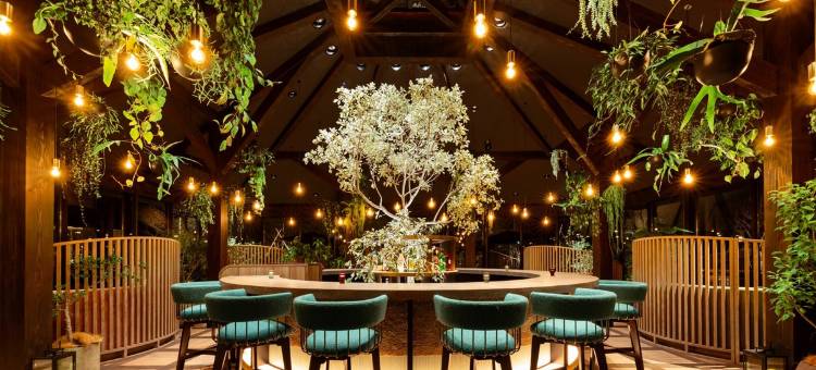 馥府 轻井泽阳光之风(Fufu Karuizawa Wind of Sunshine)图片