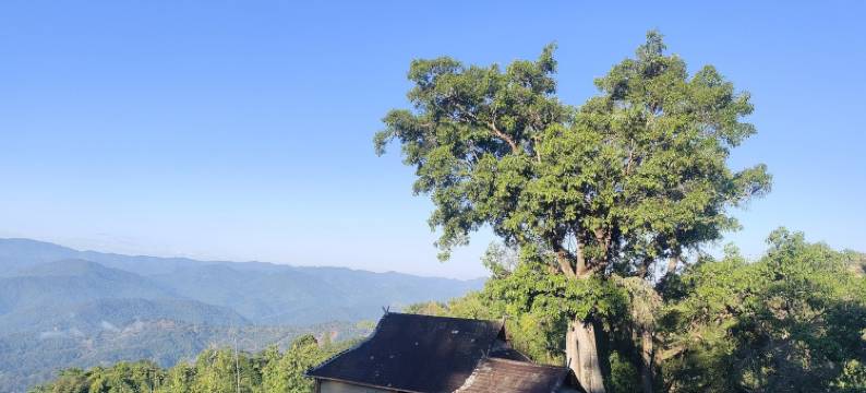 景号腊香客栈图片