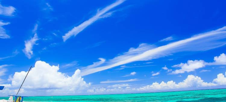 利夫马克斯度假酒店-阿姆斯坎那度假别墅(LiVEMAX AMMS CanNa RESORT VILLA)图片