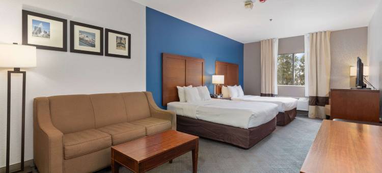 伦巴德阿狄森舒适套房酒店(Comfort Suites Lombard/Addison)图片