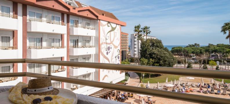 Alegria Florida图片