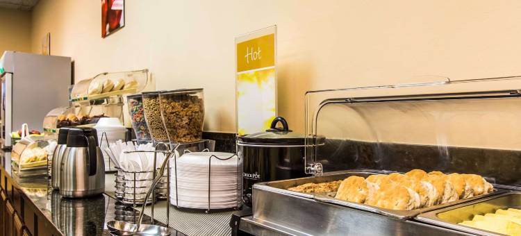 邓肯HWY81凯艺酒店(Quality Inn Duncan Hwy 81)图片