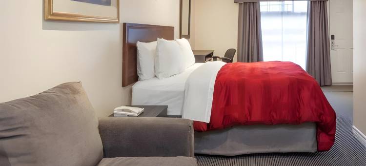 金斯顿骑士酒店(Knights Inn Kingston)图片