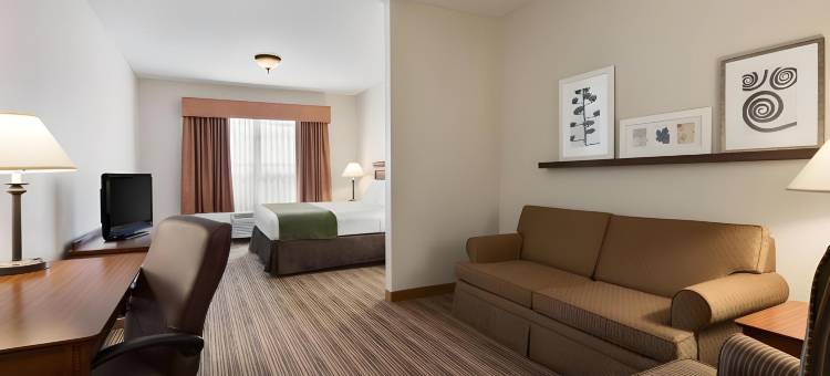 士麦那丽怡酒店(Country Inn & Suites by Radisson, Smyrna - Atlanta Northwest)图片