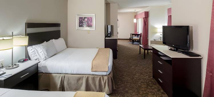 Holiday Inn Express 奥古斯塔北(Holiday Inn Express Augusta North - GA)图片