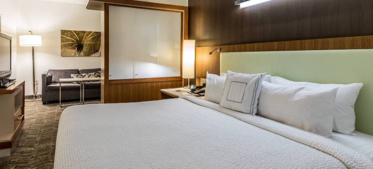 斯泰茨伯勒大学区SpringHill Suites酒店(SpringHill Suites Statesboro University Area)图片