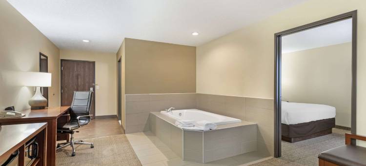 舒适套房酒店(Comfort Suites)图片