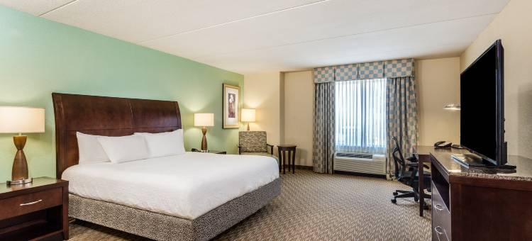 盖恩斯维尔希尔顿花园酒店(Hilton Garden Inn Gainesville)图片