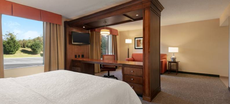 查尔斯镇欢朋套房酒店(Hampton Inn & Suites Charles Town)图片