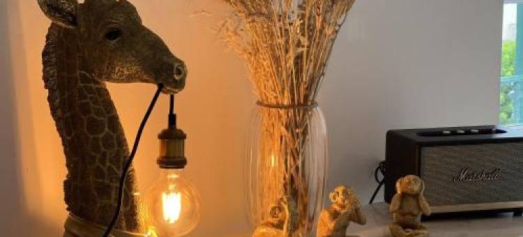 Loft de Babolène图片