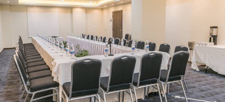 萨拉曼卡巴希奥希尔顿欢朋套房酒店(Hampton Inn & Suites by Hilton Salamanca Bajio)图片