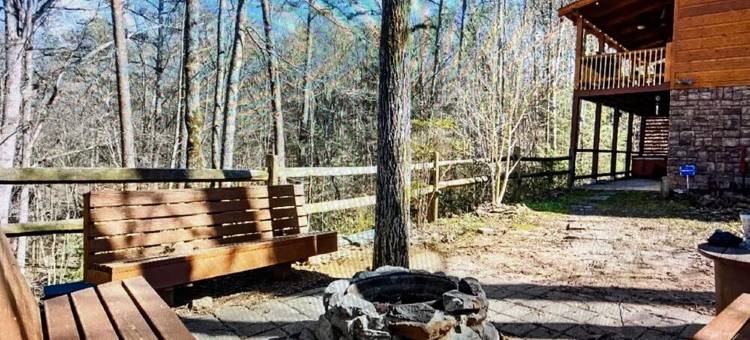 蓝岭山脉宁静小屋-带门禁, WiFi, 热水浴缸, 火坑, 游戏室(Peaceful Blue Ridge Mtn Cabin-Gated, WiFi, Hot Tub, Fire Pit, Game Room)图片
