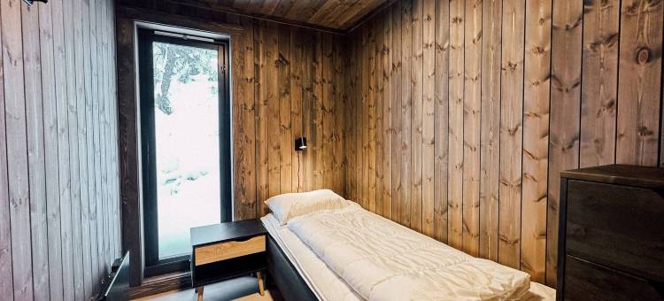 Modern Mountain Cabin - Sauna - 5 Bedrooms - Sleeps for 10图片