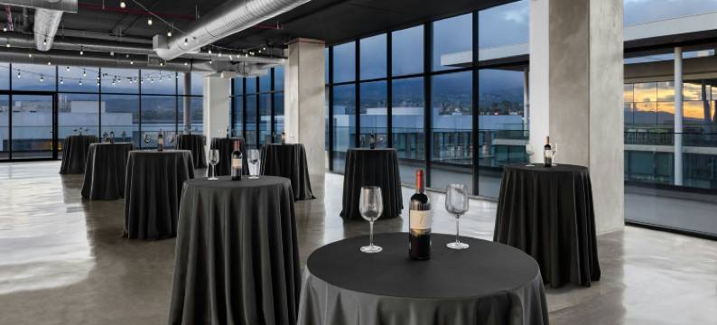 AC旧金山荷塞机场贝伦酒店(AC Hotel San Jose Airport Belen)图片