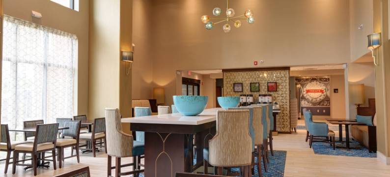 希尔顿坦帕布什花园区欢朋酒店及套房(Hampton Inn and Suites by Hilton Tampa Busch Gardens Area)图片