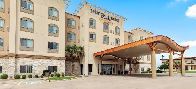 伍德威韦科 SpringHill Suites 酒店(SpringHill Suites Waco Woodway)图片