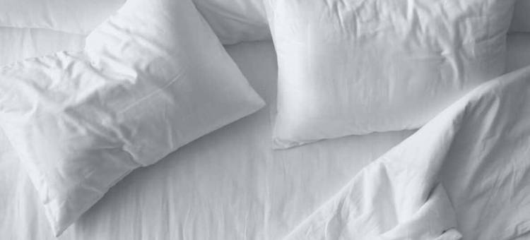 阿马里洛舒适全套房酒店(Spark by Hilton Amarillo Western Plaza)图片