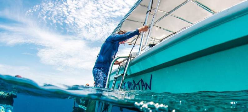 蓝色罗阿坦度假村(Blue Roatan Resort)图片