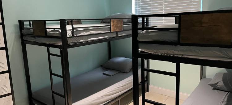 艺术花园温伍德(Summer Gardens Wynwood Concept)图片