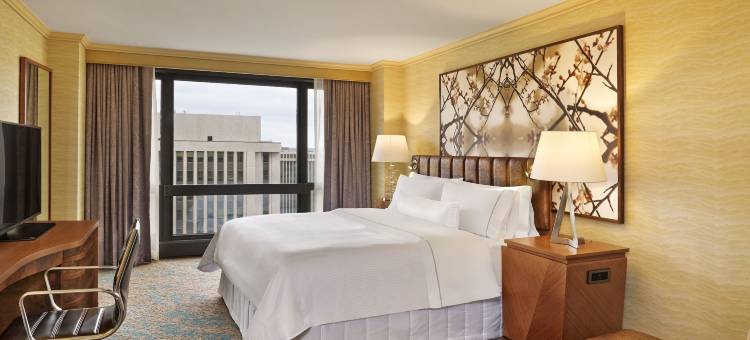 威斯汀水晶市雷根国家机场酒店(The Westin Crystal City Reagan National Airport)图片