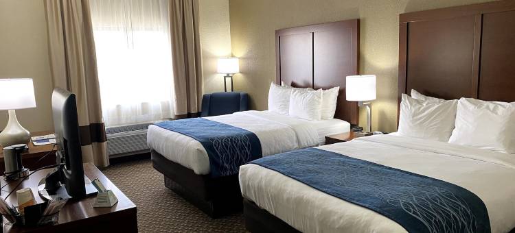 科科莫赛道附近舒适酒店(Comfort Inn Near Kokomo Speedway)图片