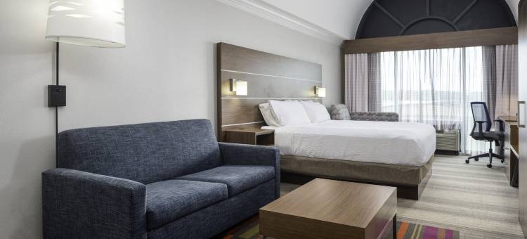 智选假日套房酒店梅肯西(Holiday Inn Express & Suites Macon - I-475)图片