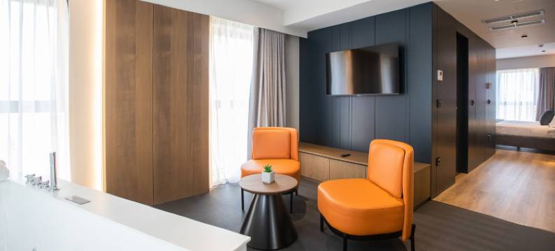 由Meliá附属的廷拉那埃丽莎酒店(Hotel Elisa Tirana, Affiliated by Meliá)图片