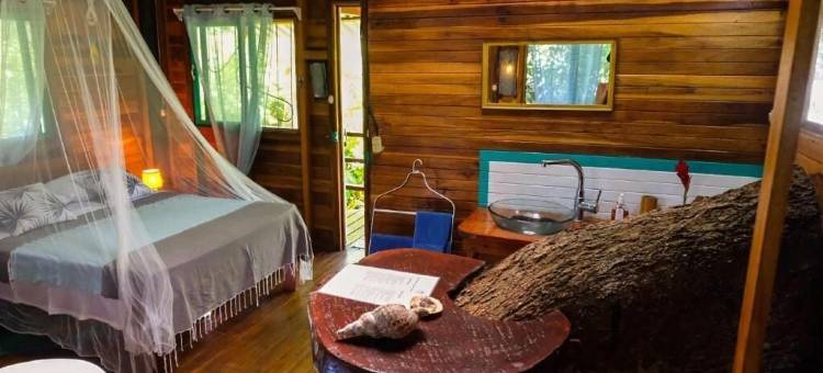 大滩旅馆(Playa Grande Lodge & Tree House)图片