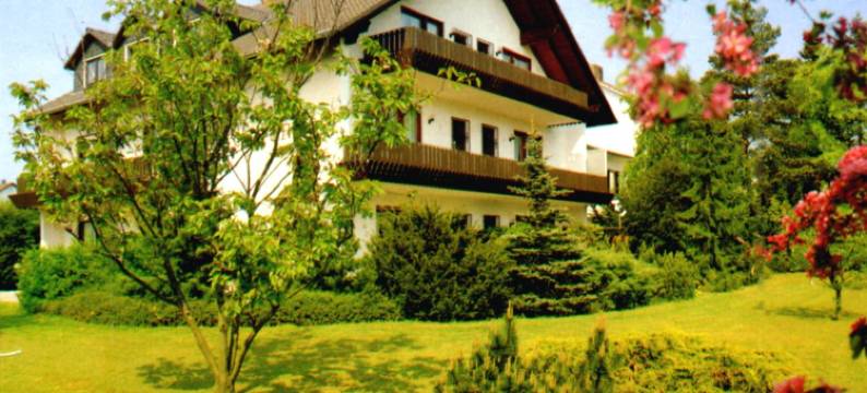 索恩奈克兰德酒店(Landhotel Sonneneck - Breuna im Naturpark)图片