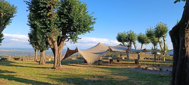 维拉斯城堡(Château de Villars)图片