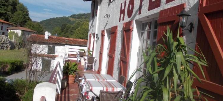 克莱门特尼亚(Clementenia)图片